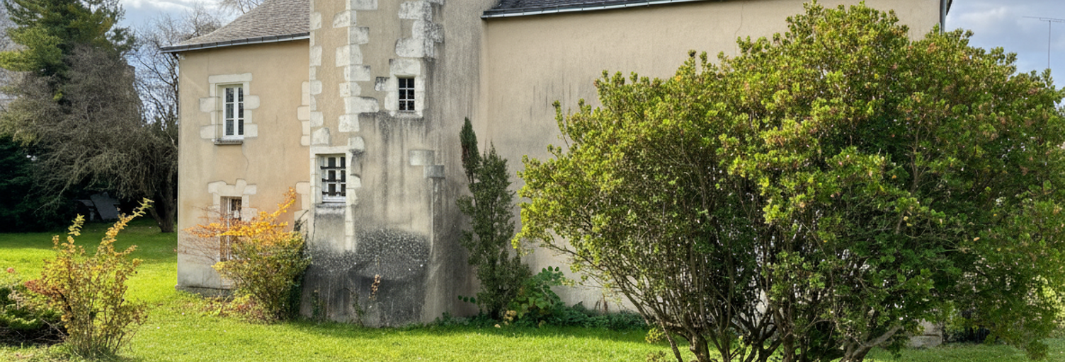 Maison 8 Pièces 202 m² à vendre à Sermaise (49140)