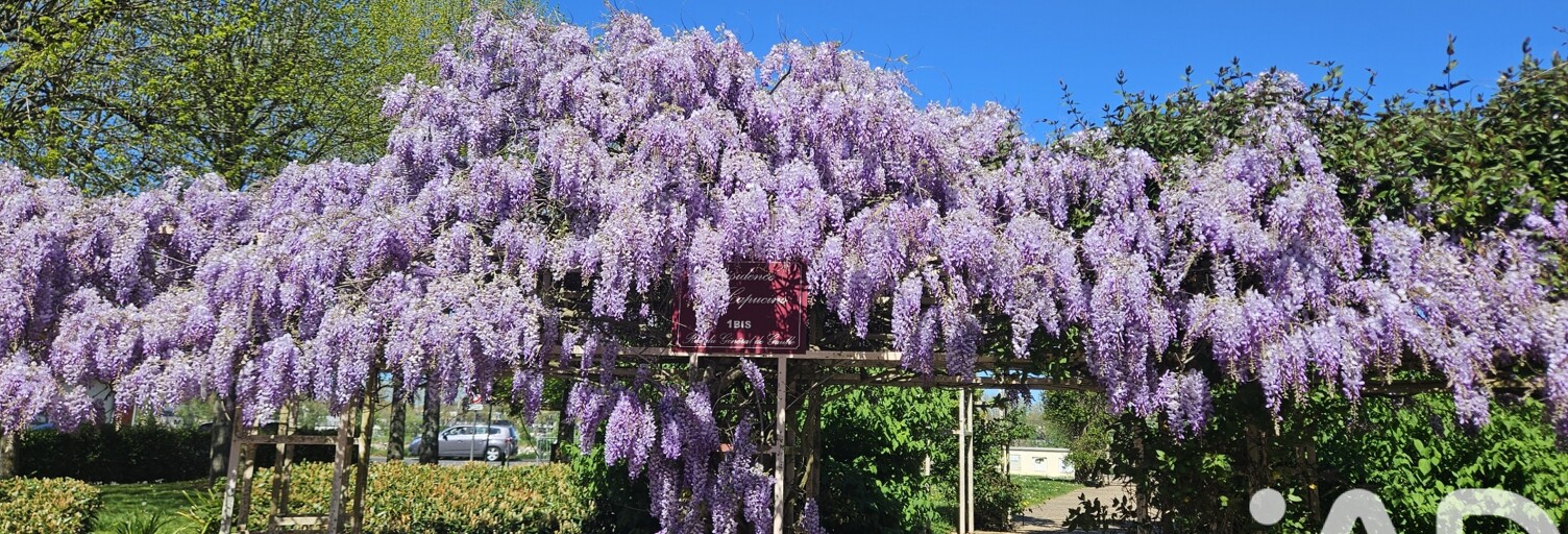 Appartement 4 Pièces 95 m² à vendre à Saint-Jean-le-Blanc (45650)