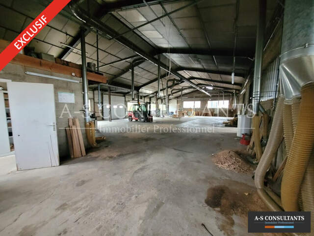 LOCAL D'ACTIVITE A VENDRE — photo du bien
