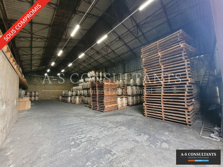 LOCAL D'ACTIVITE A VENDRE — photo 1