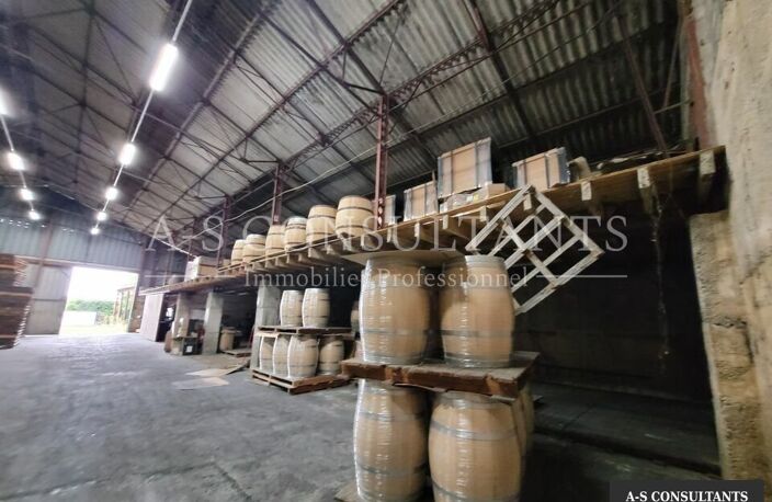 LOCAL D'ACTIVITE A VENDRE — photo 3