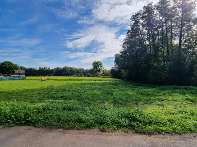 St Aulaire , à 5 min. d'Objat , Grand terrain plat à bâtir — photo du bien