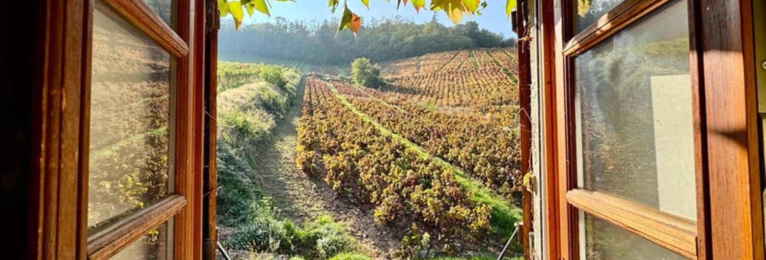 Maison 6 Pièces 151 m² à vendre à Chénas (69840)