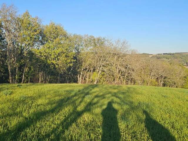 Vaste Terrain Constructible à Pessan — photo du bien