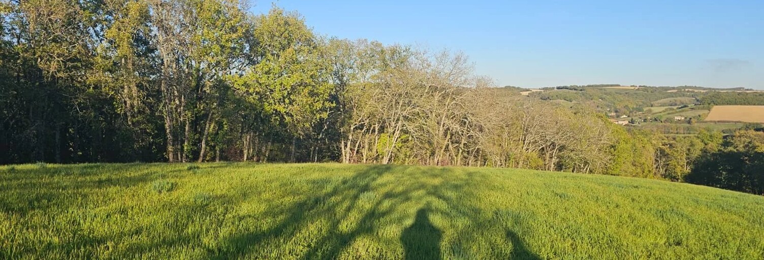 Terrain  9886 m² à vendre à Pessan (32550)