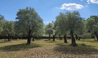 Terrain  2773 m² à vendre à Opio (06650)