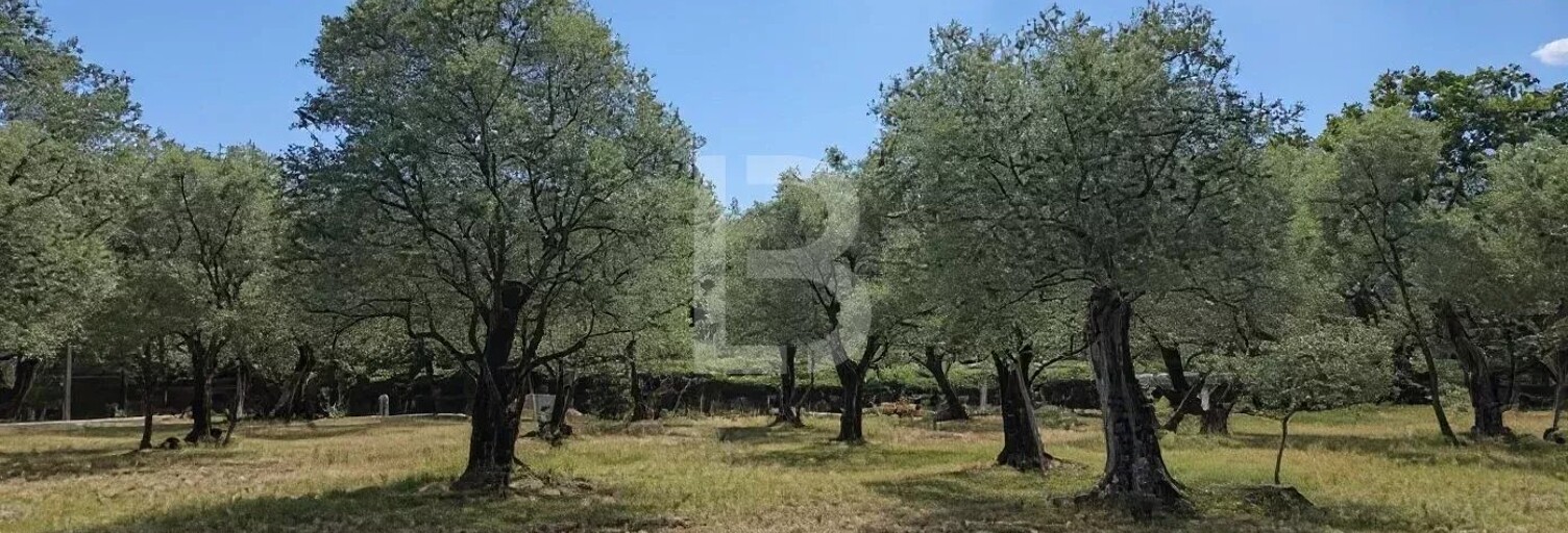 Terrain  2773 m² à vendre à Opio (06650)