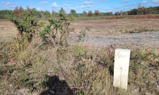 Terrain 360 m² à construire Le Barp (33114)