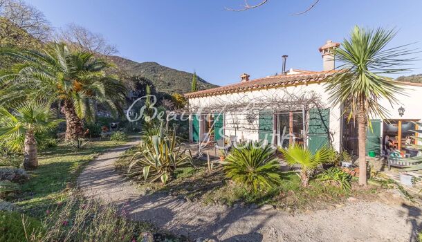 Villa / Maison 17 pièces  à vendre Sorède 66690