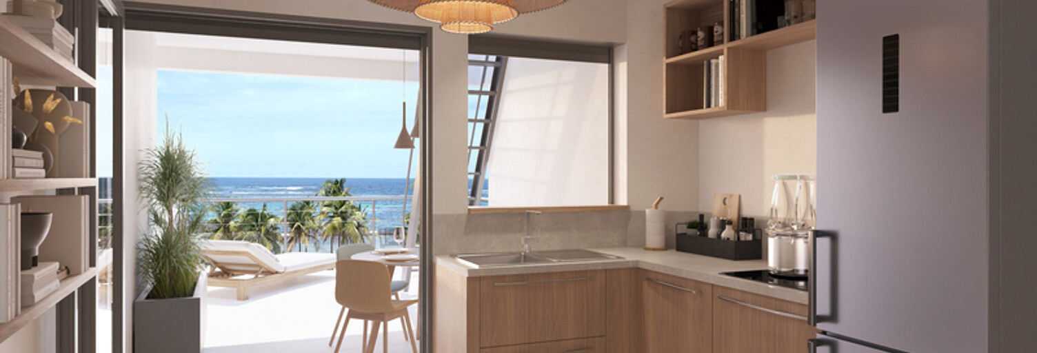 Appartement 2 Pièces 41 m² à vendre à Le Moule (97160)