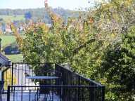 Maison de campagne à vendre sur 5 428 m² de terrain — photo 3