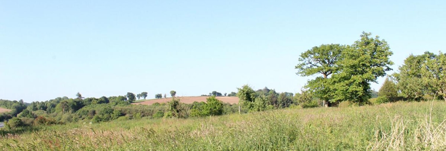 Maison 4 Pièces 60 m² à vendre à Saint-Brandan (22800)