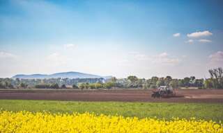 Terrain  430000 m² à vendre à Les Cars (87230)