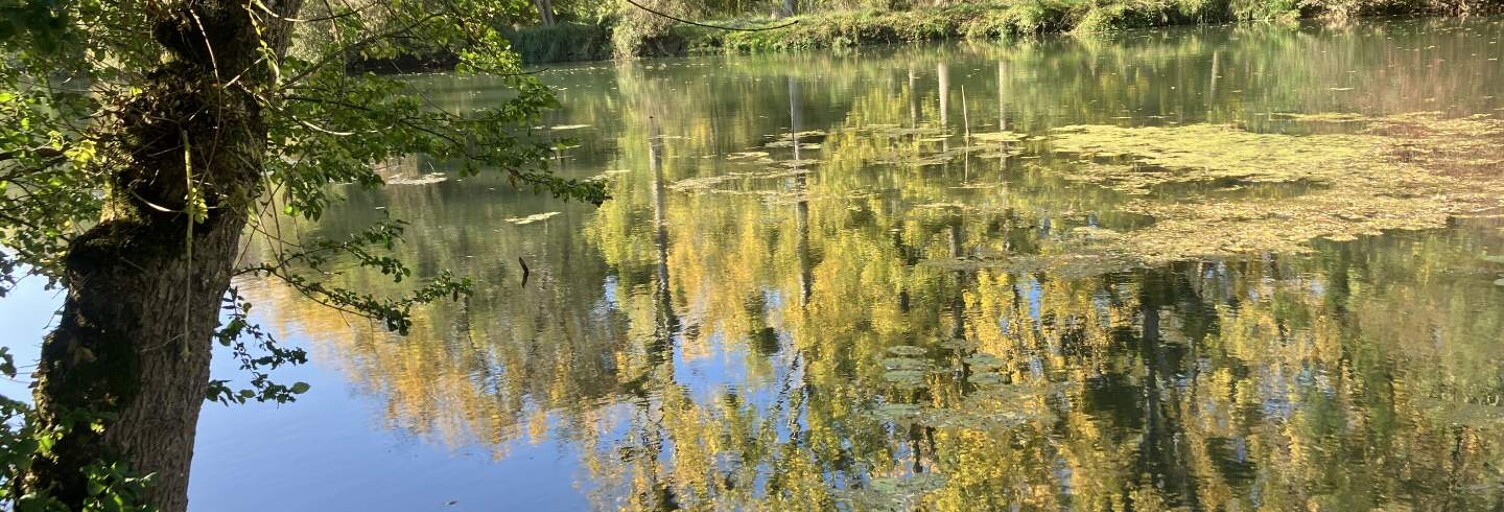 Terrain  6764 m² à vendre à Artannes-sur-Indre (37260)