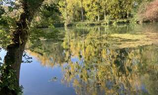 Terrain  6764 m² à vendre à Artannes-sur-Indre (37260)