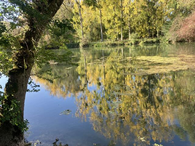Terrain proposé à Artannes-sur-Indre