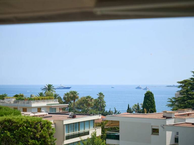 CANNES - BASSE CALIFORNIE — photo 1