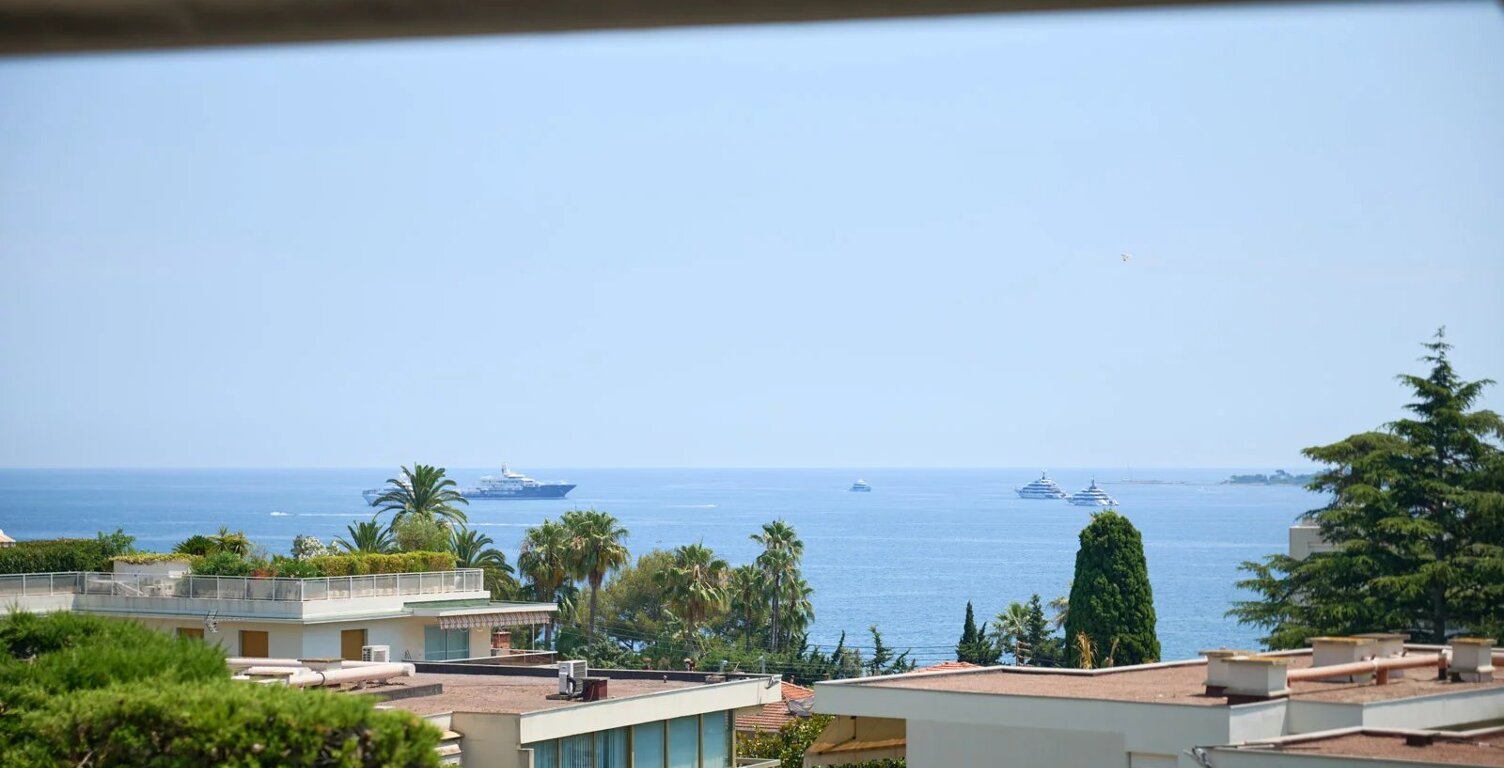 CANNES - BASSE CALIFORNIE — photo 1