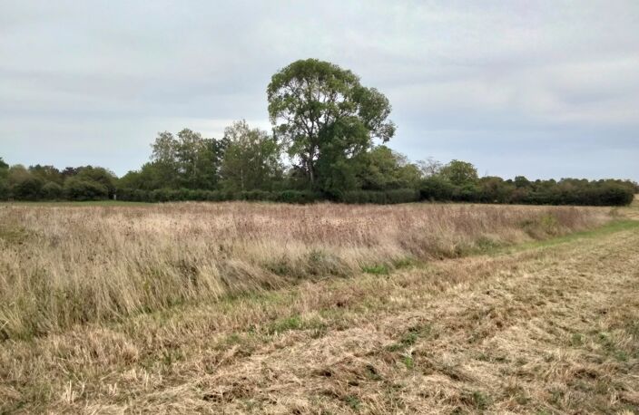 Terrain constructible 2363m2, 2 mns Neuville — photo 2