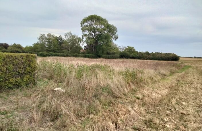 Terrain constructible 2363m2, 2 mns Neuville — photo 4