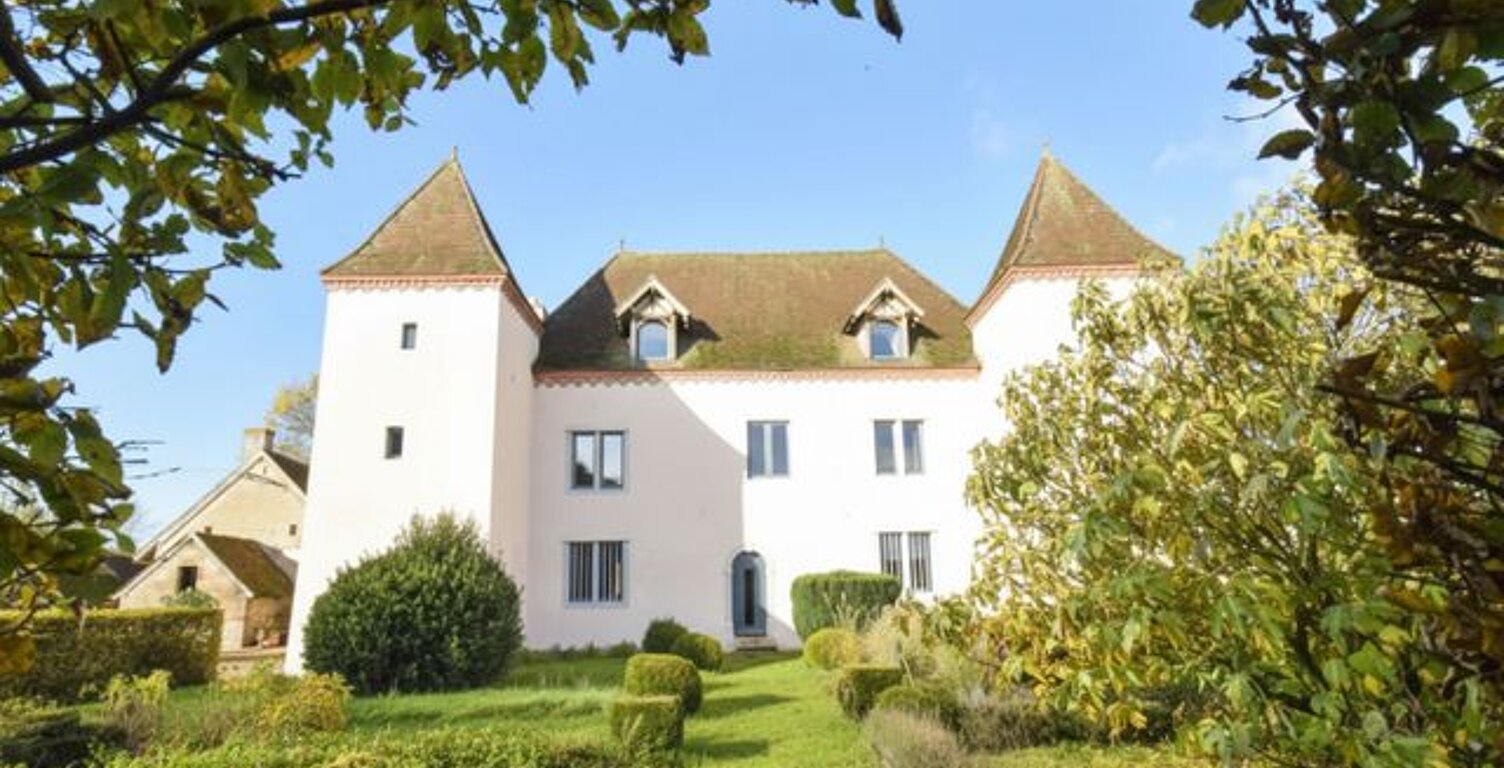 CHÂTEAU 17ème RÉNOVÉ SUR 1 HECTARE — photo 1