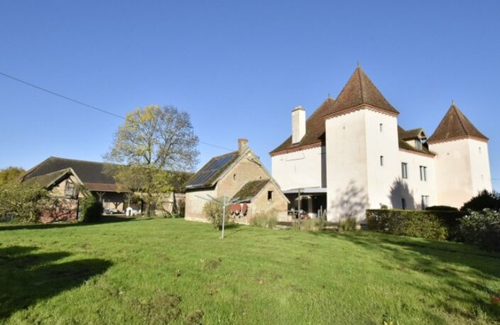 CHÂTEAU 17ème RÉNOVÉ SUR 1 HECTARE — photo 2