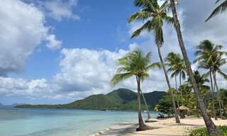 Appartement 1 Pièce 28 m² à vendre à Sainte-Anne (97227)