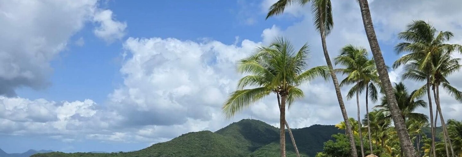 Appartement 1 Pièce 28 m² à vendre à Sainte-Anne (97227)