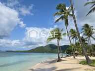 Studio avec piscine à 5 minutes à pieds d'une des plus belle plage de l'ile ! — photo 2