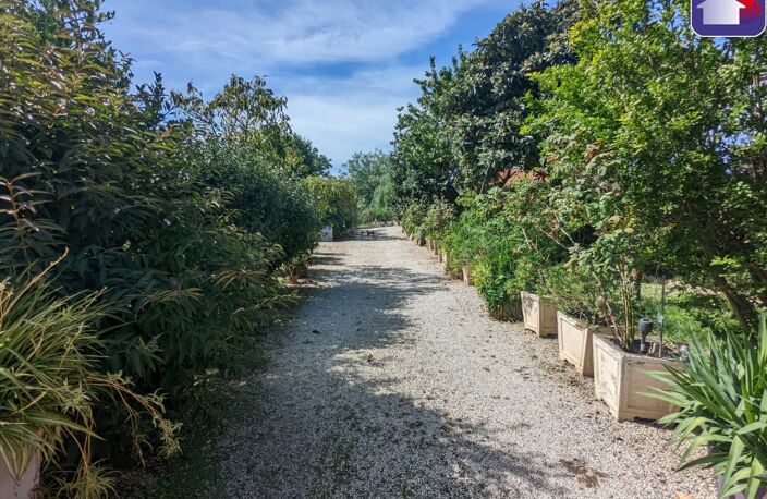 Vente maison 4 pièces 98 m² Palaminy (31220) — photo 5
