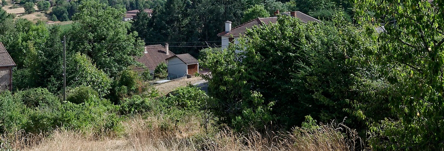 Terrain  120 m² à vendre à Renaison (42370)