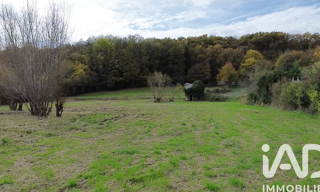 Terrain  8728 m² à vendre à Argenton-sur-Creuse (36200)