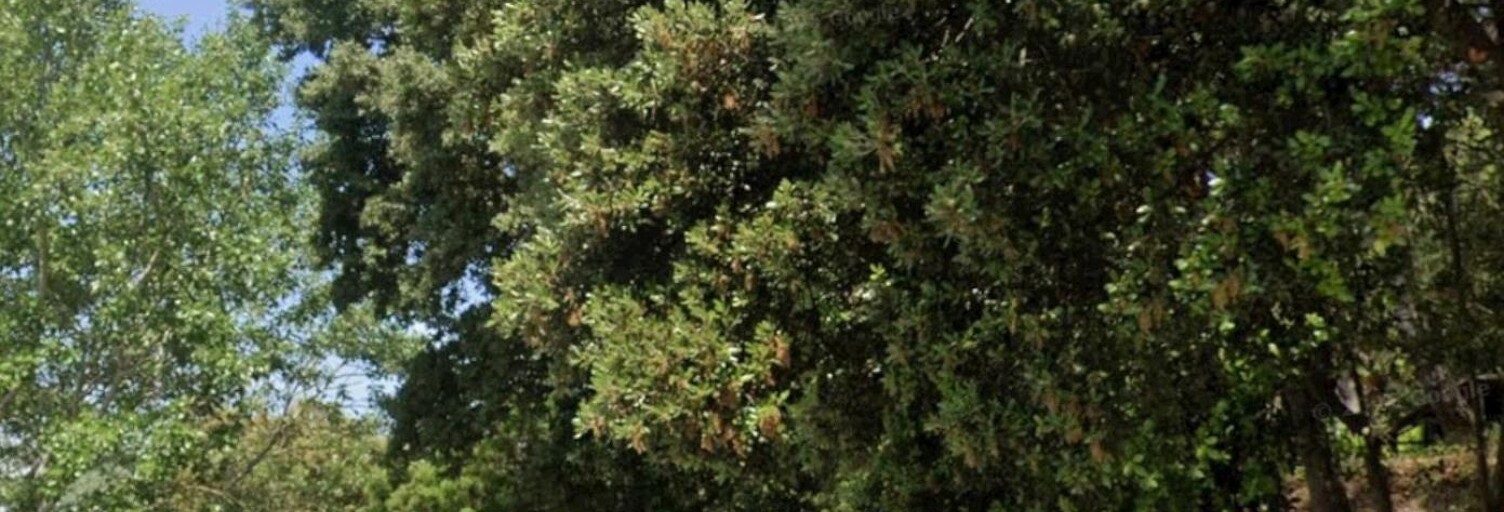 Terrain  1246 m² à vendre à Bollène (84500)