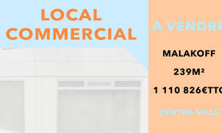 Commerce  239 m² à vendre à Malakoff (92240)