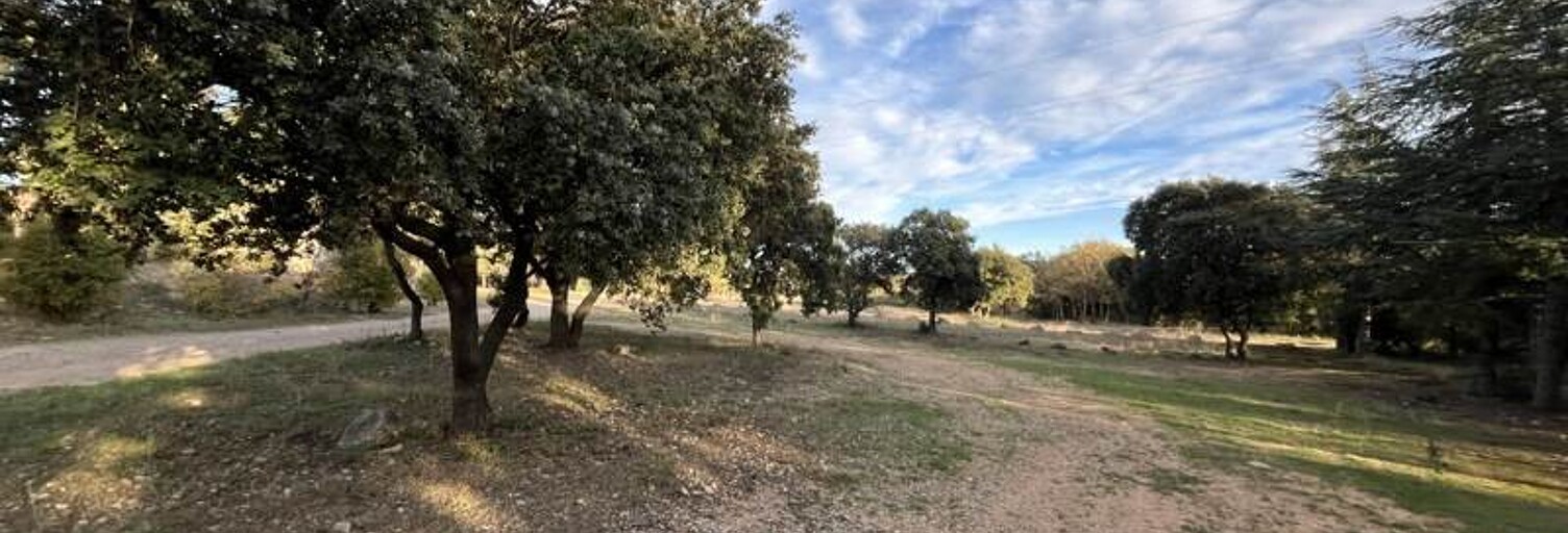 Terrain  6560 m² à vendre à Gigean (34770)