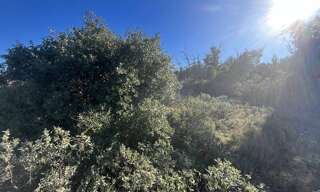 Terrain  6560 m² à vendre à Gigean (34770)