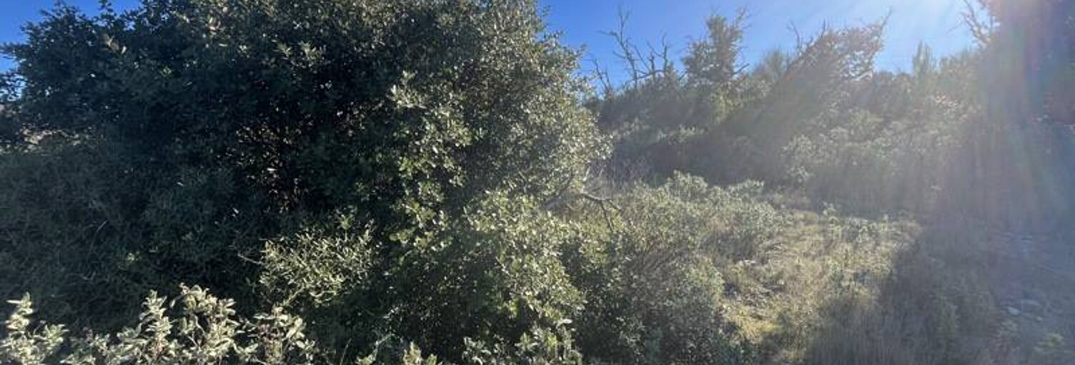 Terrain  6560 m² à vendre à Gigean (34770)