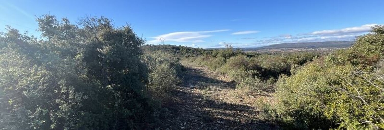 Terrain  6560 m² à vendre à Gigean (34770)