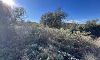 Terrain  6560 m² à vendre à Gigean (34770)