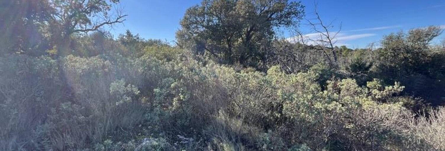 Terrain  6560 m² à vendre à Gigean (34770)