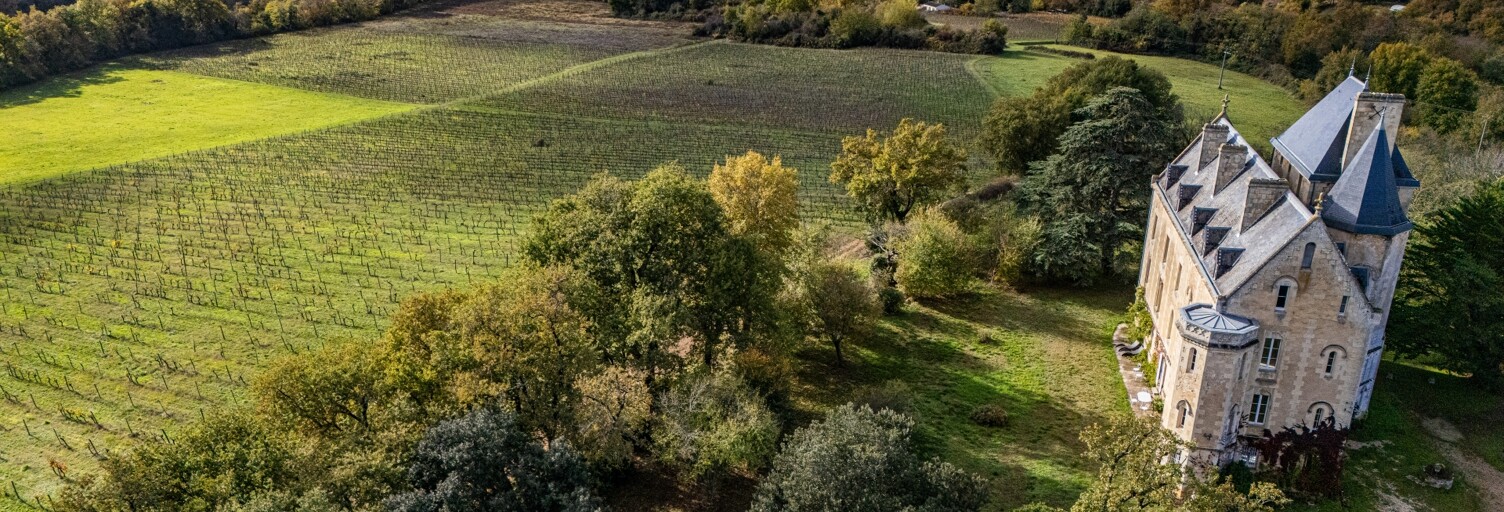 Maison 18 Pièces 890 m² à vendre à Villenave-de-Rions (33550)