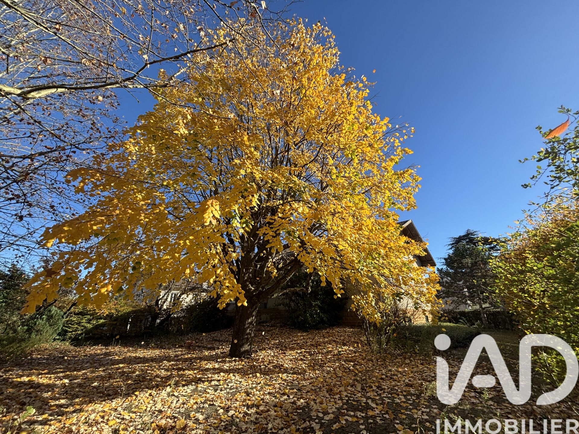 Limas - 260m² - 7p.