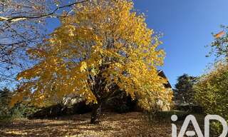 Maison 7 Pièces 260 m² à vendre à Limas (69400)