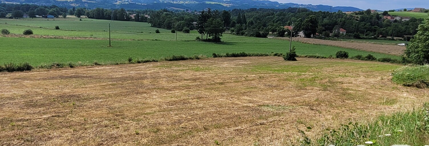 Terrain  5690 m² à vendre à Ambert (63600)