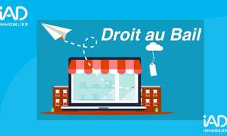 Commerce  30 m² à vendre à Versailles (78000)