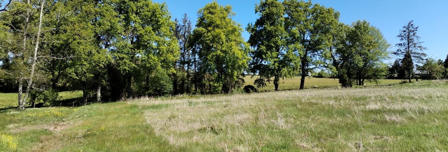 Terrain  3225 m² à vendre à Château-Chervix (87380)