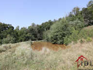 Propriété avec plan d'eau et vaste terrain   secteur La Chap — photo 3