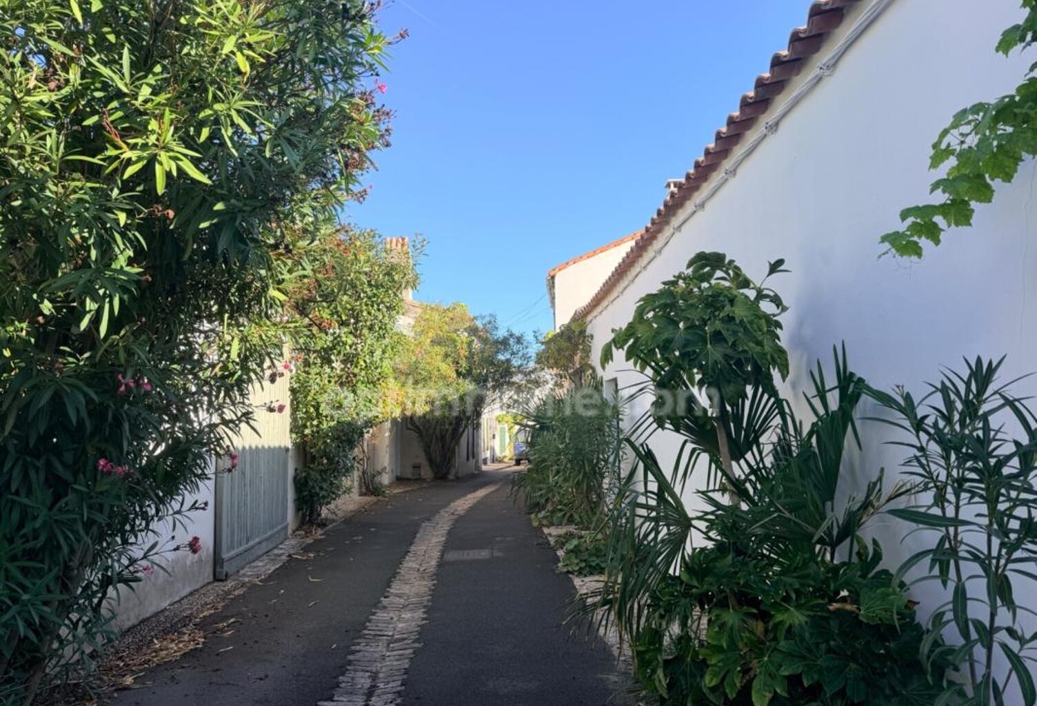 ÎLE DE RÉ – LE BOIS-PLAGE-EN-RÉ | MAISON DE CHARME EN PLEIN CŒUR DU VILLAGE — photo 1