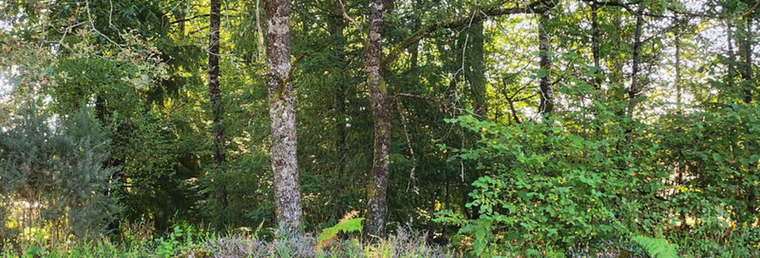 Terrain  1245 m² à vendre à Oradour-sur-Glane (87520)