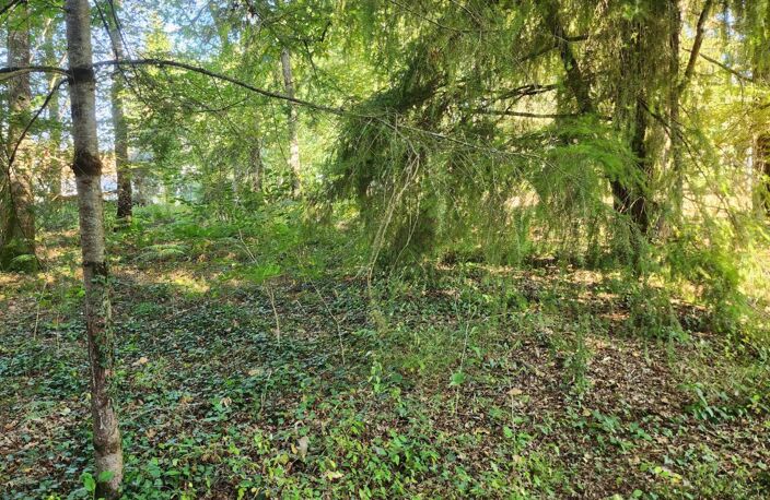 TERRAIN 1245M² - ENVIRONNEMENT CAMPAGNE - CALME — photo 4